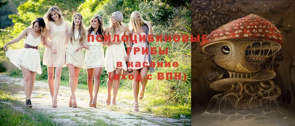 экстази Горняк