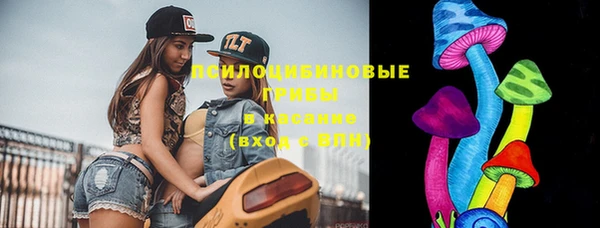 прущие крисы Горнозаводск