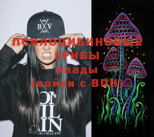 экстази Горняк
